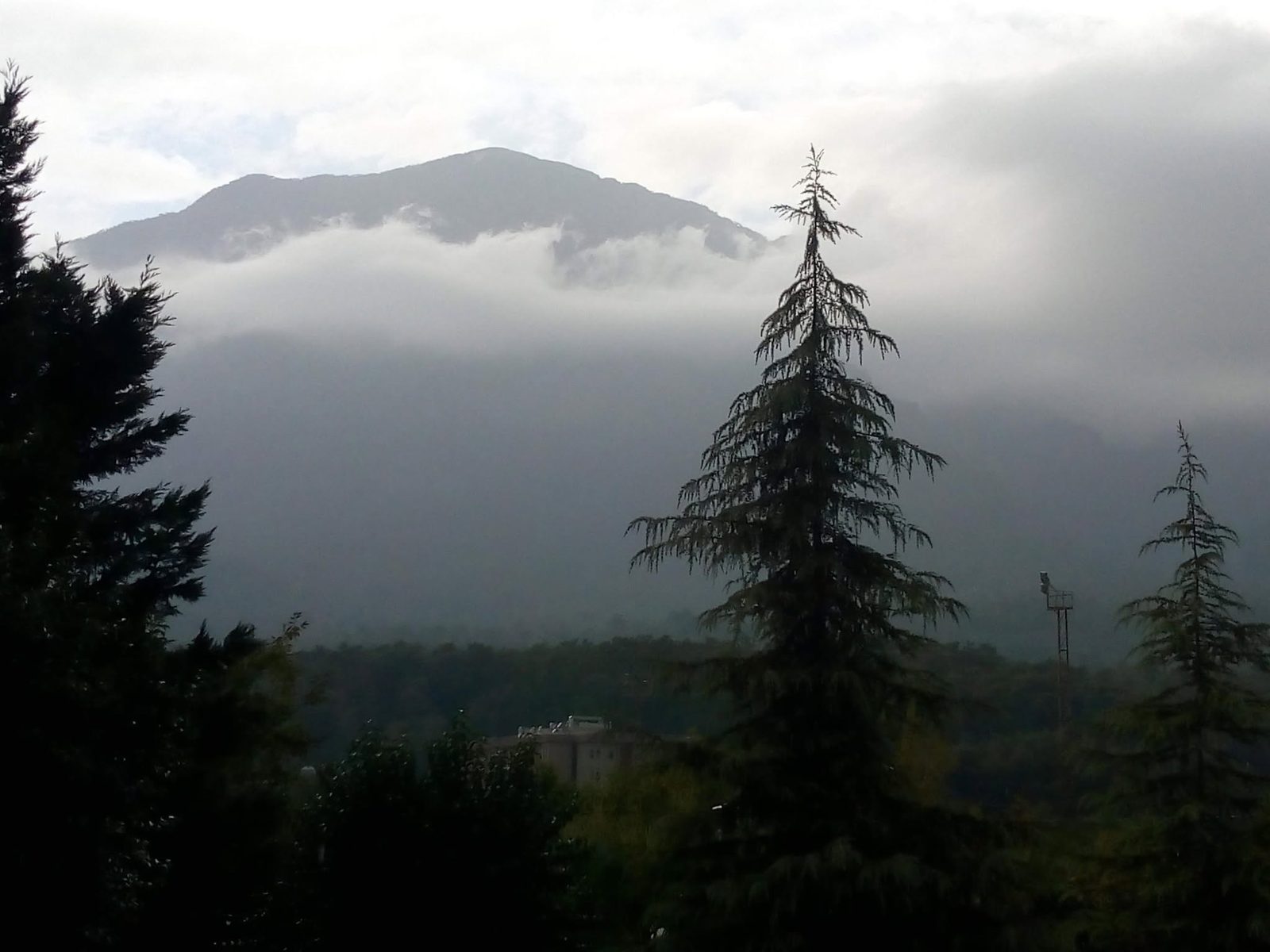 Abendwolken sinken zum Hang herab, im Vordergrund eine dunkle Tanne.
